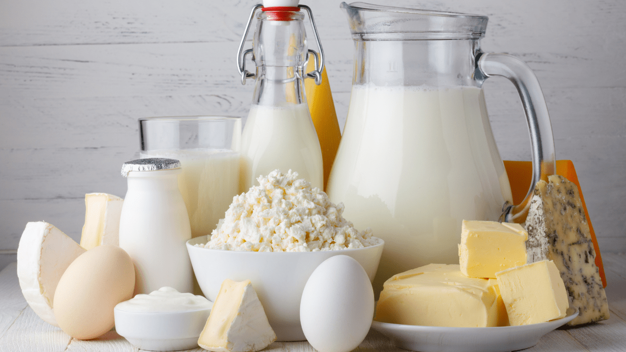 10 produtos derivados do leite