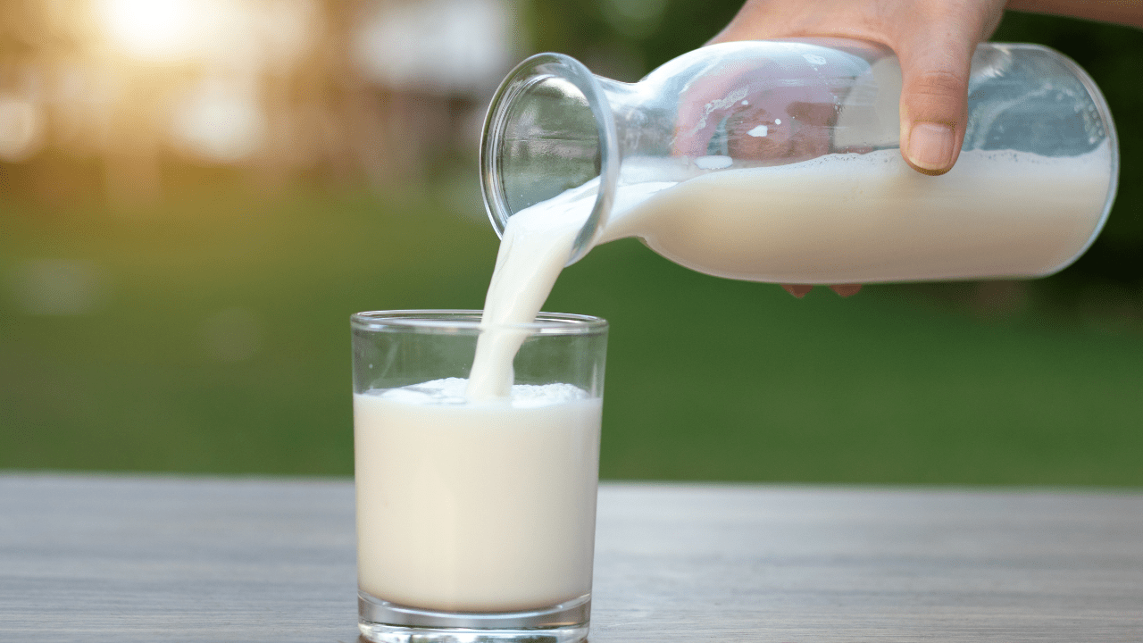 10 produtos derivados do leite