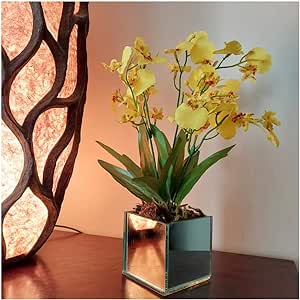 Arranjo de Orquídeas artificiais em vaso: Vale Apena? Review