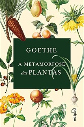 Goethe - A Metamorfose das Plantas Review